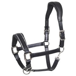SD� Star Appeal leather halter. 