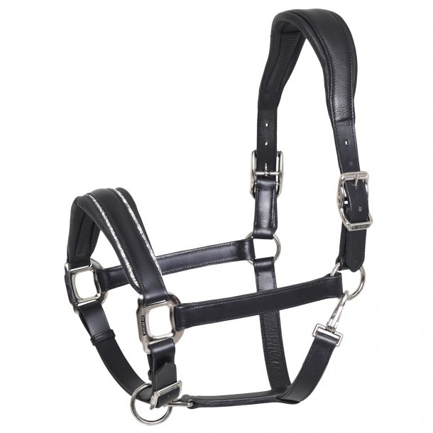 SD� Star Appeal leather halter. 
