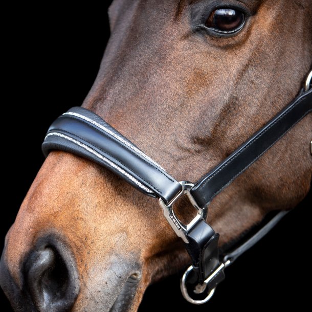 SD� Star Appeal leather halter. 
