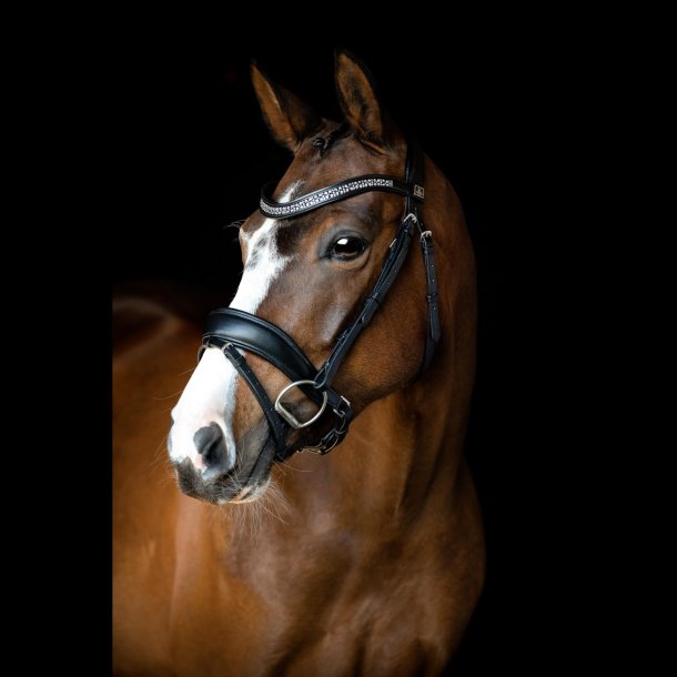 SD Noseband. black/black. 