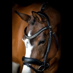 SD Noseband. black/black. 