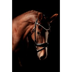 Auktion 3 DaVinci Rolled Bridle BLACK/BLACK
