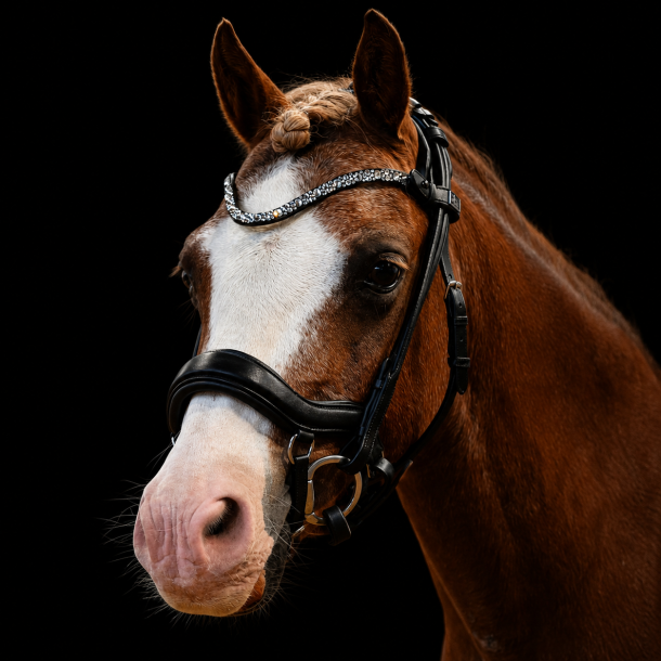 SD� Loreen Anatomic Rolled Bridle.