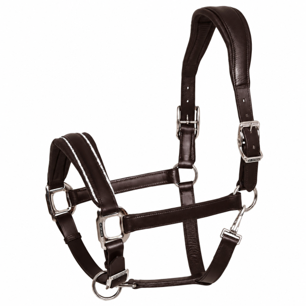 SD� Star Appeal leather halter. BROWN