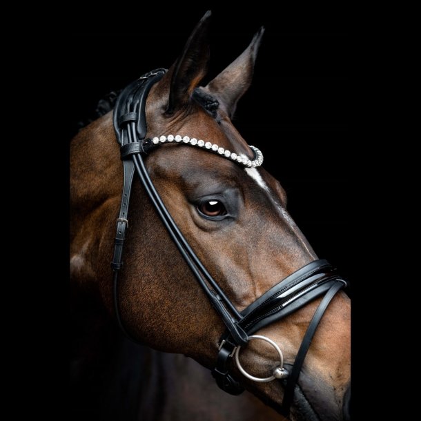 SD Zhivago Rolled bridle. Black/Black/PT.