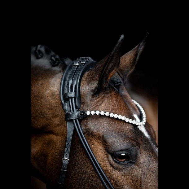 SD Zhivago Rolled bridle. Black/Black/PT.