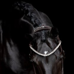 SD Headpiece for Rolled Bridle/rolled double bridle. Brown.