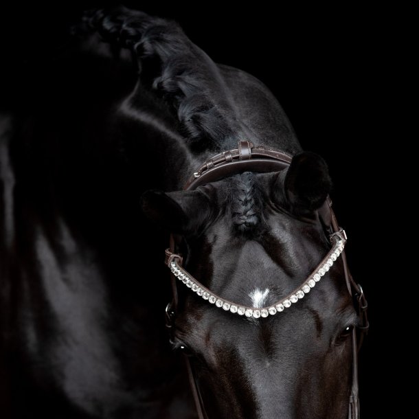 SD Headpiece for Rolled Bridle/rolled double bridle. Brown.