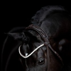 SD Headpiece for Rolled Bridle/rolled double bridle. Brown.