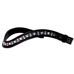 SD Chelina browband. 