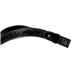 SD Action Browband 