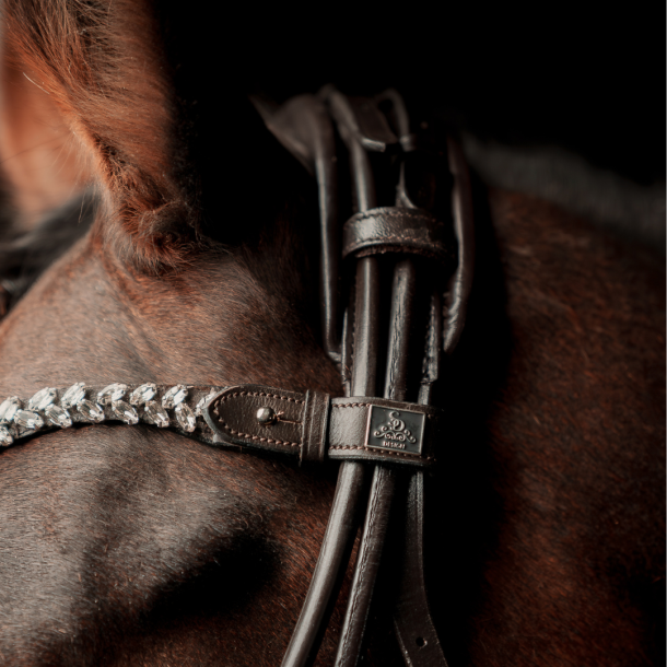 SD Beauty Off Browband. Brown