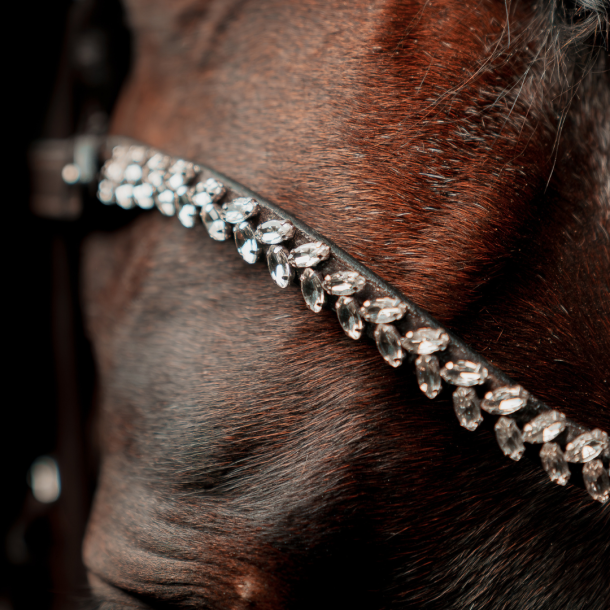 SD Beauty Off Browband. Brown