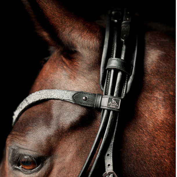 SD Special Edition Browband Black/Crystal. 