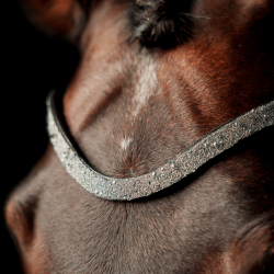 SD Special Edition Browband Black/Crystal. 