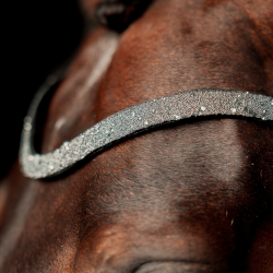 SD Special Edition Browband Black/Crystal. 