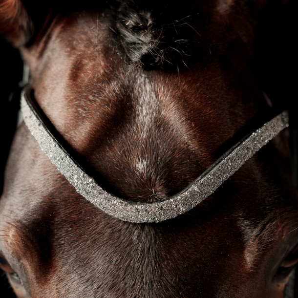 SD Special Edition Browband Black/Crystal. 