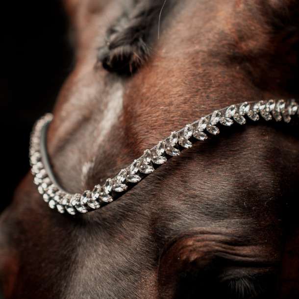 SD Beauty Off Browband. Brown