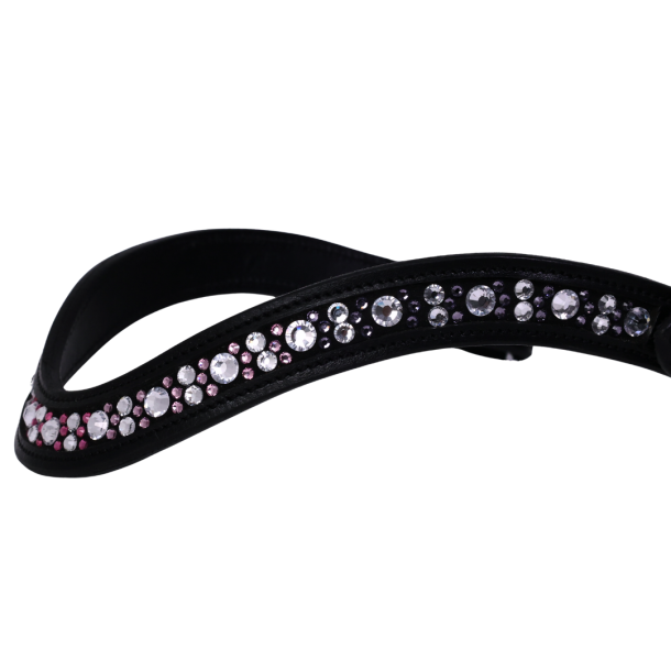  SD Chelina browband. 