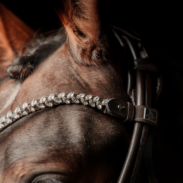 SD Beauty Off Browband. Brown