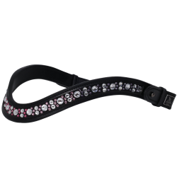  SD Chelina browband. 