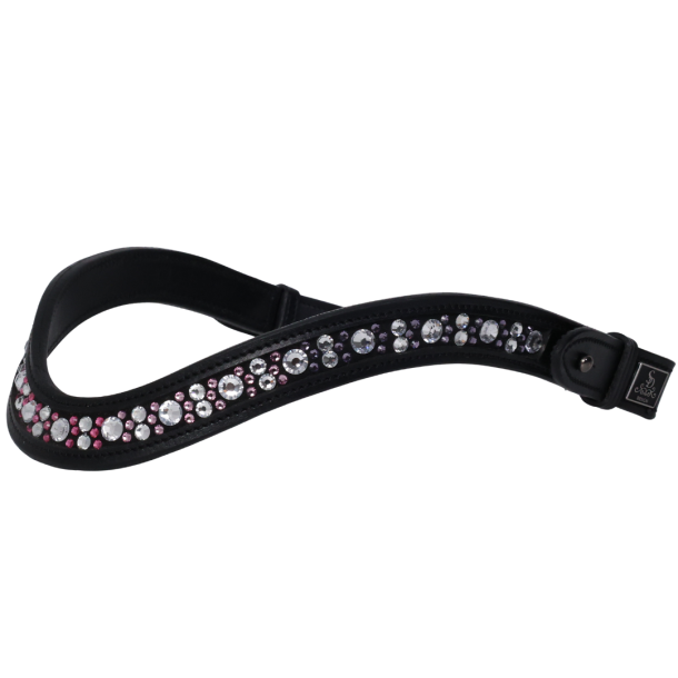  SD Chelina browband. 