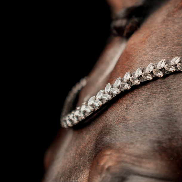 SD Beauty Off Browband. Brown