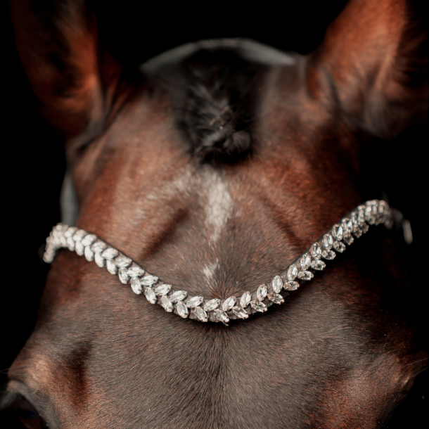 SD Beauty Off Browband. Brown