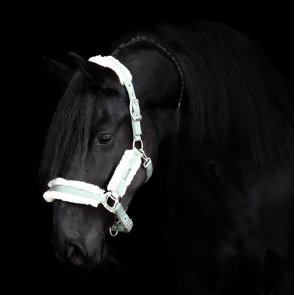 Dineke fan de Adelvej