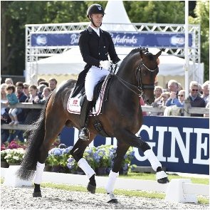 World Championsship in Dressage for young horses, Team Denmark