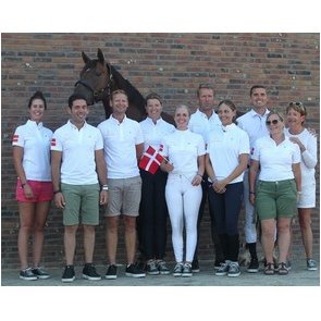 The Danish team World Championsship for young dressage horse