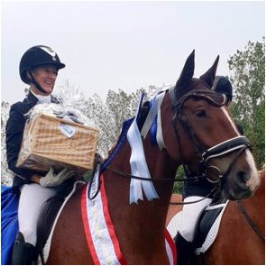 Frederiksborg Horsebreedunion Show