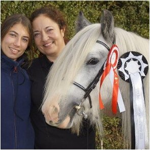 Danish Tinker unuin show