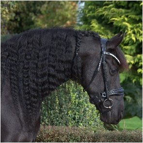 Medusa Fra Bygballegaard