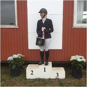 Danish Championsship for Haflinger