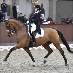 Katrine Rosa Bjrklund