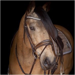 Maria Mille Mller Schaumann